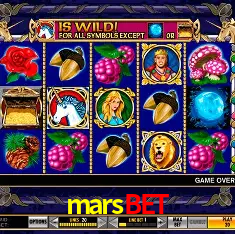 marsbet Rio de Janeiro - Professional Dealers